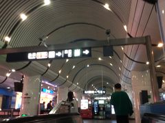 -大望路(地铁站)