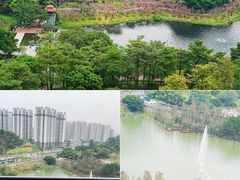 -广州汇华希尔顿逸林酒店