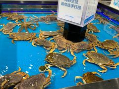 水产区-盒马鲜生(联投广场店)