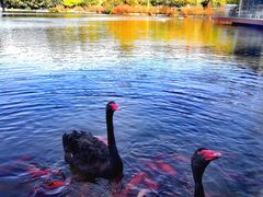 -春晖园度假酒店温泉