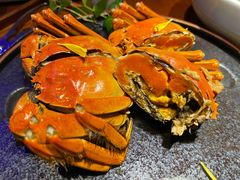 -映水芙蓉(上海万象城店)