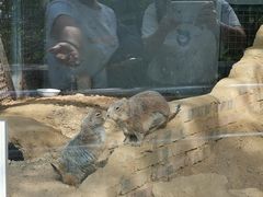 -青岛动物园