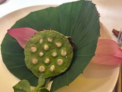 -叶叶菩提·晋福宫