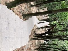 -火炉山森林公园