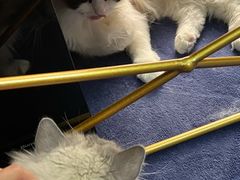 -零纪元VR体验馆·桌游(黄浦店)