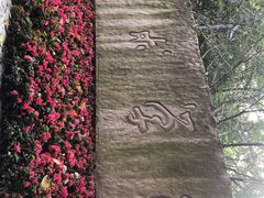 -黄桷坪涂鸦艺术街