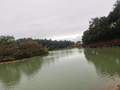 -广州白江湖森林公园