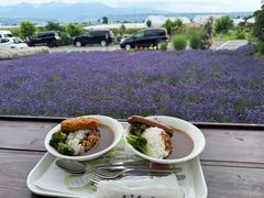 -富田农场