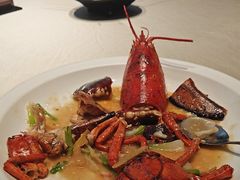 -侨美食家·40年地道粤菜(珠江新城店)