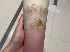 多肉粉荔-喜茶(佛山岭南站店)