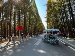 -日照海滨国家森林公园
