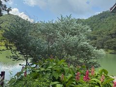 -广州白江湖森林公园