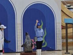 -秦皇岛乐岛海洋王国