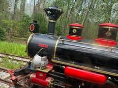 -合肥滨湖国家森林公园