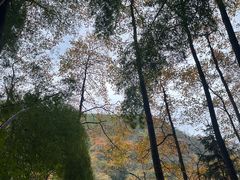 -藏龙百瀑风景区