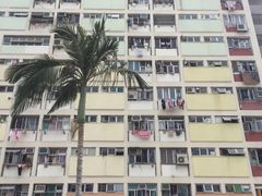 -彩虹村
