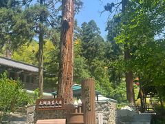 -东天目山风景区