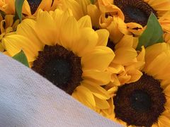 -三圣花乡旅游区