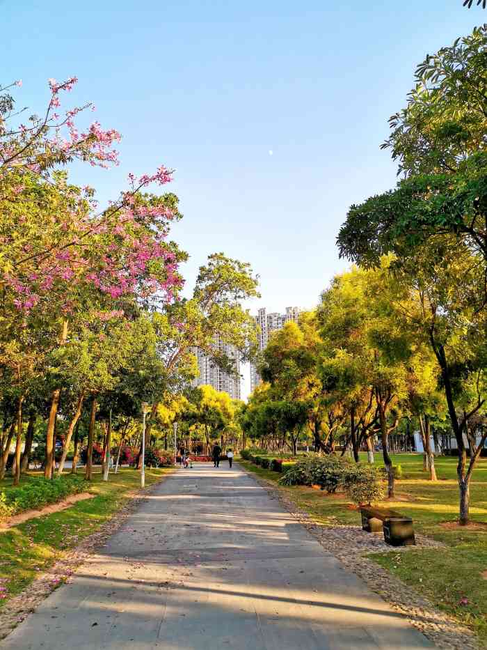 苏颂公园-"去同安影剧院看西游,特地提早1小时过来,."-大众点评移动版