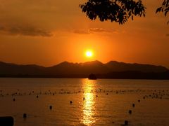 -周素珍湖州大馄饨(直戒坛寺巷店)