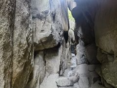 -鲁山国家森林公园