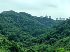 -阳台山森林公园