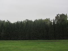 -汉长安城未央宫国家考古遗址公园