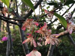 -荆川公园