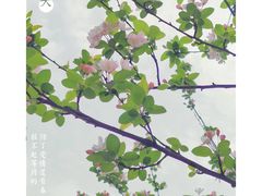 -佛图关公园