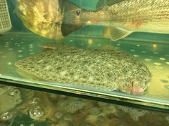 -明记海鲜美食老字号(明记总店)