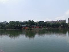-公园茶楼粤式点心
