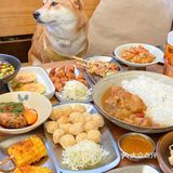 省了去🇯🇵的机票在东郊记忆也能吃到正宗烧鸟
