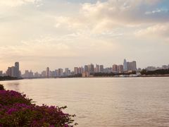 -珠江夜游广州塔·中大码头