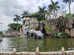 -美的鹭湖探索王国