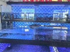 -七的湖·晚芳亭·阳澄湖农家菜·大闸蟹(莲花岛店)