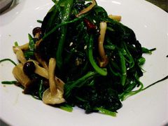 DSC_1348-西北45°(世茂广场店)