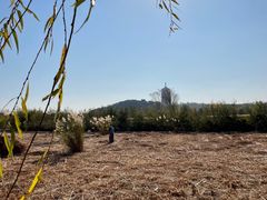 -永定河休闲森林公园