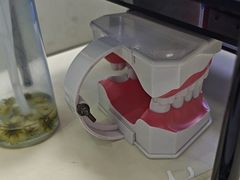 -深圳富茂格伦菲尔口腔门诊部(龙华清湖总院)
