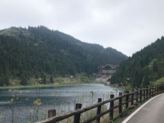 -武陵山森林公园