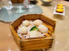 宝园虾饺皇-宝园酒家(美林M·LIVE天地东座店)