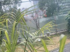 -树厨贵州菜(铜仁花果山店)