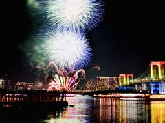 -台场海滨公园船码头