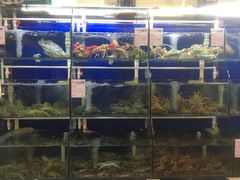 -阿静美食