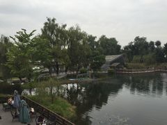 -成飞公园