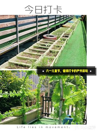 儿童节游玩去处,户外的乐园欢乐多。