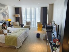 -国家会议中心大酒店