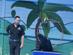 -石家庄极地海洋世界