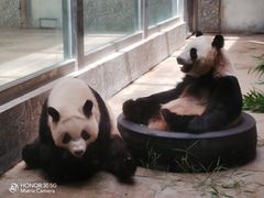 -西安秦岭野生动物园