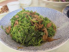 金花菜蚌肉-金典银峰老鹅馆·昆山菜(亭林公园店)