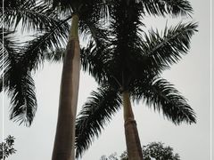 -广州市白云山风景名胜区
